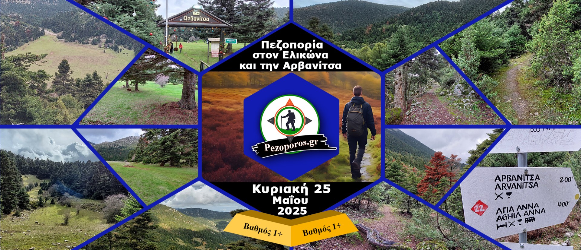 Πεζοπορία στο πυκνό ελατόδασος του Ελικώνα και την Αρβανίτσα | Κυριακή 25 Μαΐου 2025